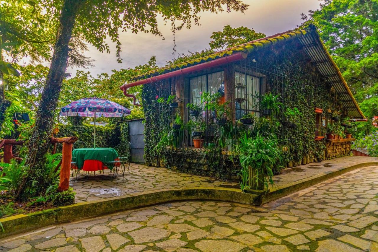 Los Naranjos Town Houses 외부 사진